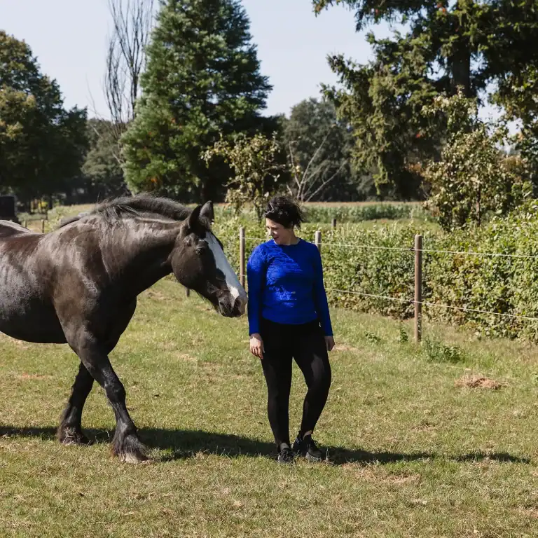 Paarden coach natalie